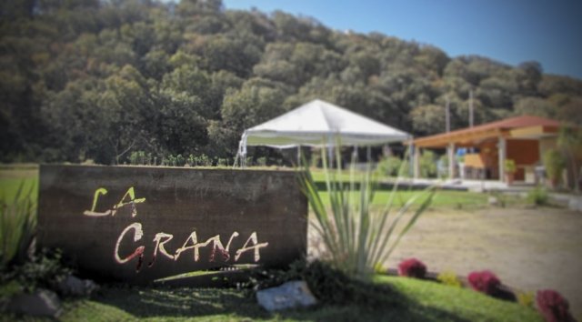 La Grana Eventos | Bosque | Naturaleza | Libertad