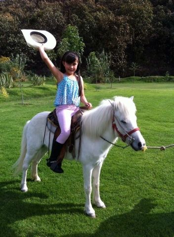 Renta de Pony para Fiesta Infantil